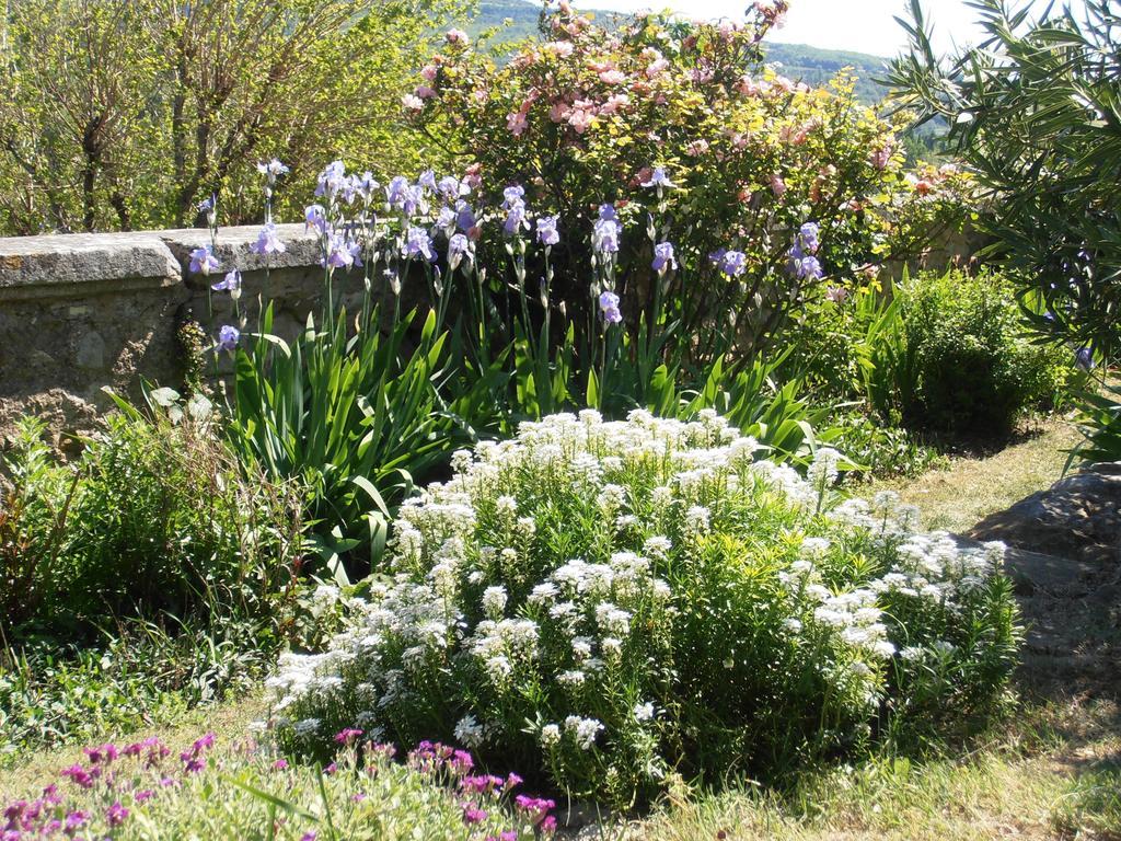 Le Seminaire Bed and Breakfast Roussas Exteriör bild